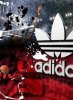 Adidas 2012 new