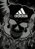 Adidas Skull