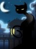 Black cat
