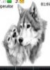 Volk