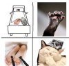 Кошки