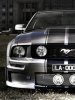 Mystang