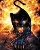 Fury Panther