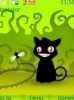 Black cat