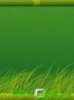 Green grass