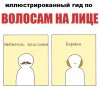 Гид по волосам