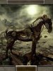 Surreal Horse