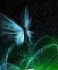 Abstract butterfly