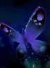 Animated Blue