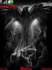 Night Of The Crow