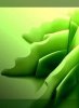 Green Structure