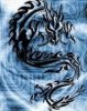 Drakon