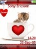 Love cat