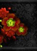 Night Flowers