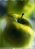 Apples
