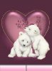 Bear and heart