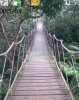 Hanging bridge