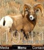 Aries