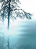 Silence