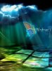Windows 7