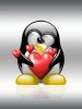 Penguin love