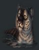 Tiger princess