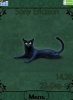 Black cat
