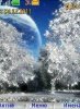 Winter Fantasy