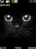 Black Cat