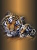 Tiger and Leon