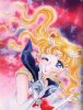 Usagi manga