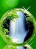 Green Peace