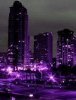 Night City