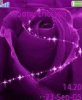 Purple rose