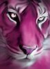 Pink Tiger