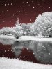 Winter Animated