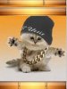 Hip Hop Cat
