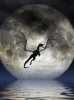 Dragon moon
