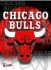 Chicago Bulls