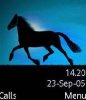 Horses