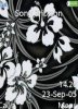 Black Hibiscus