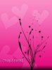 Love Euphoria