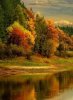 Autumn Forest
