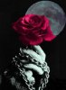 Gothic rose