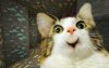 Игровые мемы: Minecraft