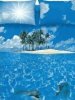 Sea dream