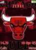 Chicago Bulls