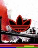 Adidas for streets