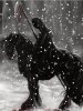 Dark Rider