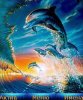 Delfin